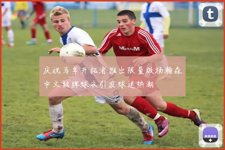 庆祝马年开拓者推出限量版杨瀚森中文铭牌球衣引发球迷热潮