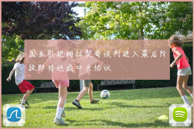 国米引进姆拉契奇谈判进入最后阶段即将达成口头协议