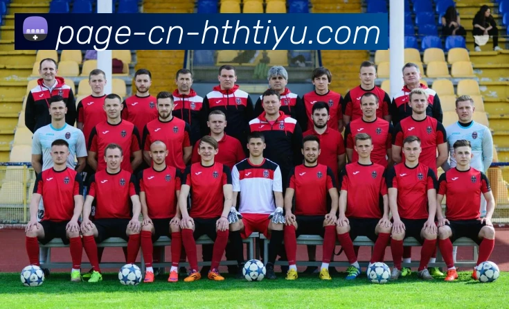 华体会体育平台生态图