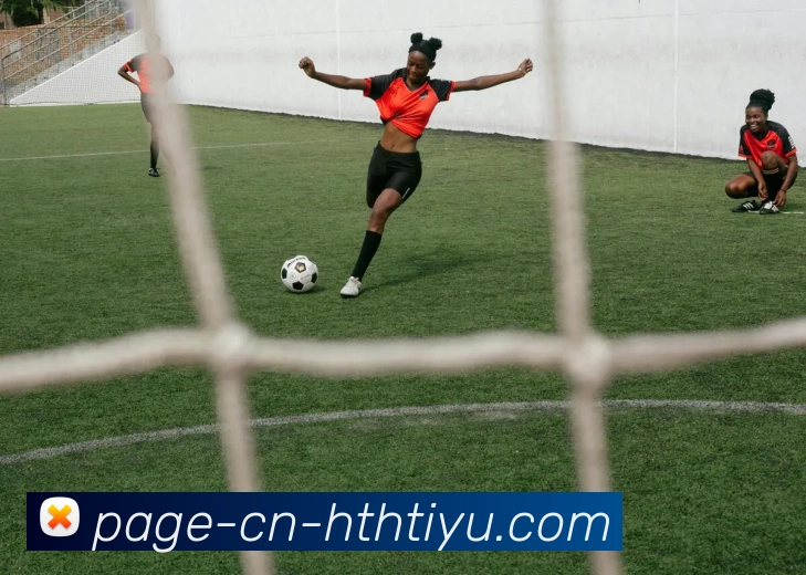 华体会体育APP 封面图