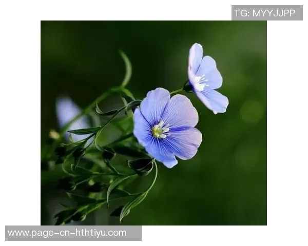 十月庆生，岁月如歌，热爱生活的每一天依然闪耀光芒