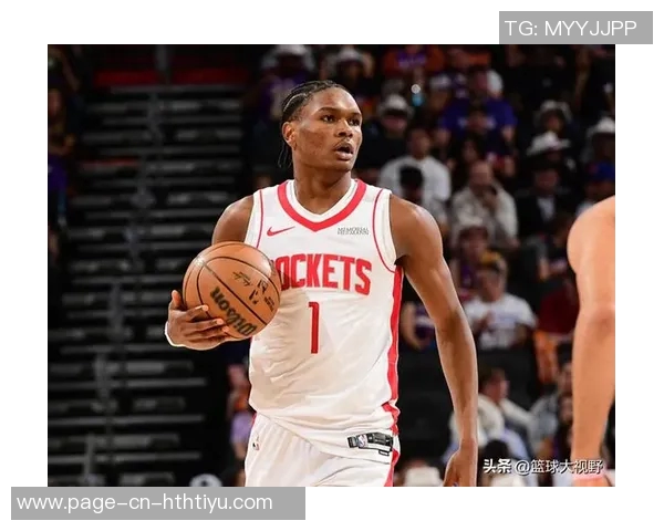 狄龙热爱四只拉布布计划送布克一只作为生日惊喜